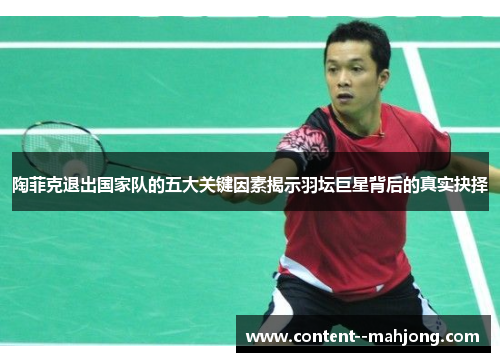 陶菲克退出国家队的五大关键因素揭示羽坛巨星背后的真实抉择